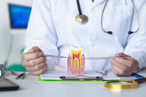 Best Walk-In Emergency Dental Services in Gulf Hills, MS